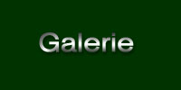 Galerie